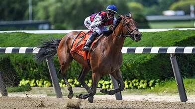 5 Reasons the Track Matters for Horse Race Betting